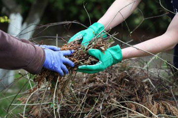 Green waste garden waste cleared